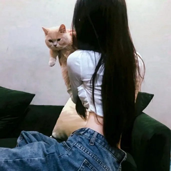 最爱喵星人：我猫威武